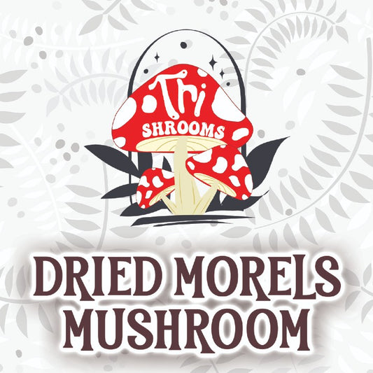 Tri-Shrooms Dried Morels Mushroom