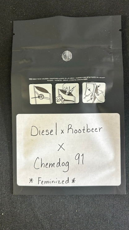 Novelty Hemp Seeds - DieselRootbeer x Chemdog 91 FEM