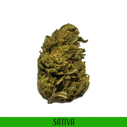 CBG Flower Sativa- White CBG