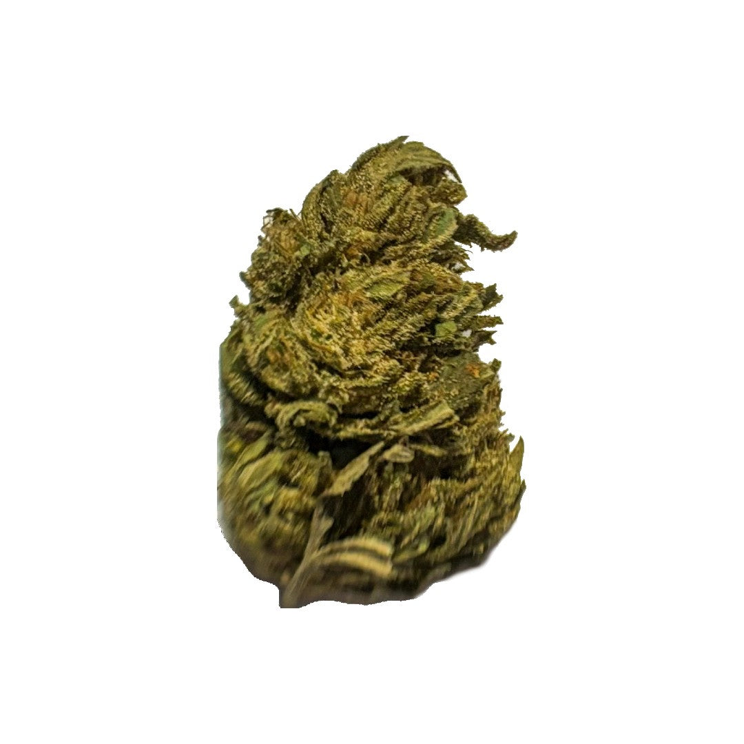 CBG Flower Sativa- White CBG